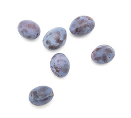 Ripe plum berries isolated on white background.