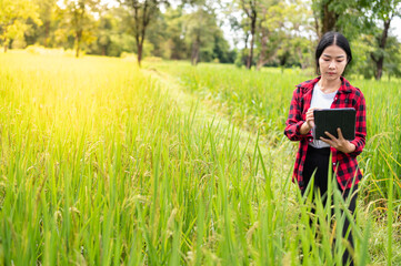 young asian agronomist farmer smiling and holding mobile smart tablet