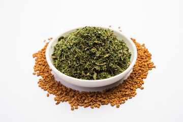 Kasuri Methi or Kasoori Methi or dried fenugreek leaves also known as Trigonella Foenum Graecum
