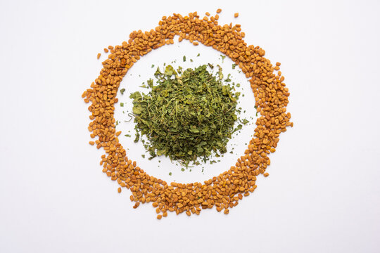 Kasuri Methi or Kasoori Methi or dried fenugreek leaves also known as Trigonella Foenum Graecum
