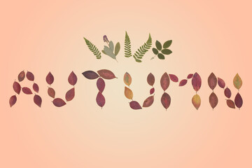 The inscription autumn, from the leaves, autumn leaves