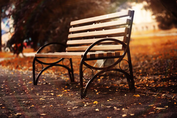 Autumn park bench, rainy texture background. Rain in autumn park, drops of water, wind.