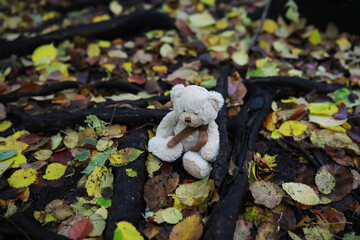 Adorable brown stuffed toy teddy bear with yellow maple leaf on head sits on dry orange leaves pile on ground in autumn park on nice sunny day close view. back to school concept.