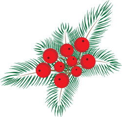Christmas tree twigs and berries, bouquet, vector, graphic illustration