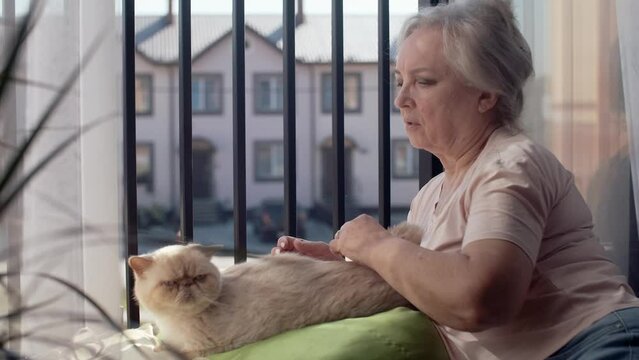 Ederly senior woman with gray hair strokes and caresses a cat near the window. Caring for your pets.