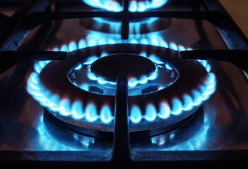 The gas burns in the burner of a kitchen stove
