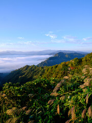 Morning sea of clouds, Oct 16th, 2022