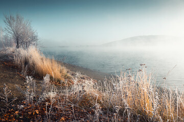 Frost-covered plants on the shore of lake in foggy morning.