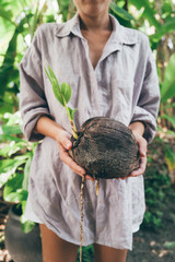 Woman holding sprouted coconut