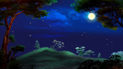 Fototapeta na wymiar Moonlit Summer Night illustration
