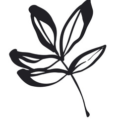 Peony leaf for combination with flowers from the same set. Vector floral element in black and white. Hand drawn peony leaves svg. Peony leaf for combination with flowers from the same set. Vector flor