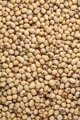 Soy Beans (Dried Soya Beans, Food Grain). Soybeans background