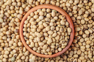 Soy Beans (Dried Soya Beans, Food Grain). Soybeans in Pottery