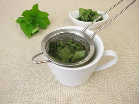 A cup of herbal tea with dried goutweed in a tea strainer