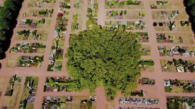 Aerial shot of graveyard cemetery in kranenburg, Germany. Beautiful lush green trees and colorful flowers.
