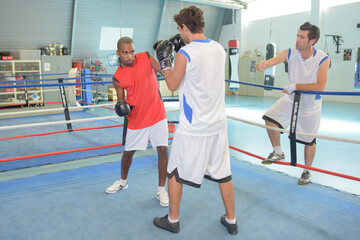 an amateur boxers and coach