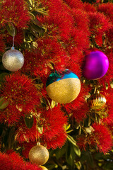The striking red flowers of New Zealand's native Pohutukawa tree with Christmas decorations. The tree flowers over the NZ summer and is often referred to as the New Zealand Christmas tree.