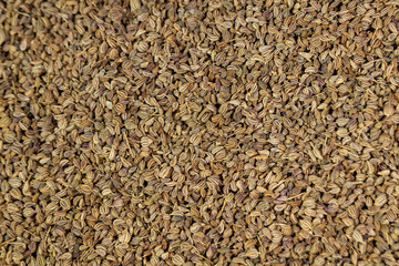 ajwain close up photo texture background