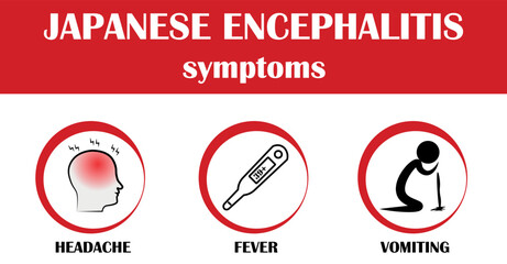 Japanese encephalitis, symptoms of disease, icon vector