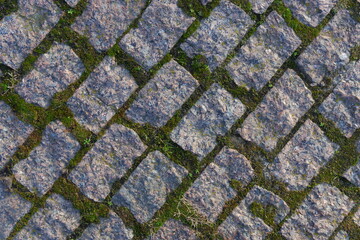 Moss between paving blocks. Paving slabs. Old paving stones