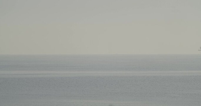 Ferdinand Magellan Nao Victoria carrack boat replica sails in the mediterranean with a bird flying by at sunrise in calm sea entering the frame in slow motion 60fps