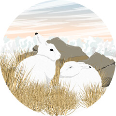 Round composition. Two cute white polar hares are sitting in the snow near a dry bush. Wild animal of the Arctic tundra. Realistic vector landscape