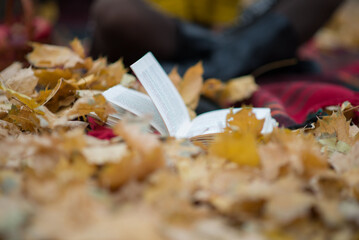 an old book is lying on a bench with fallen leaves in the autumn Park
