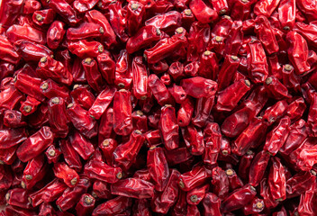 Close up view of dried Berberis vulgaris also known as common barberry, European barberry or...