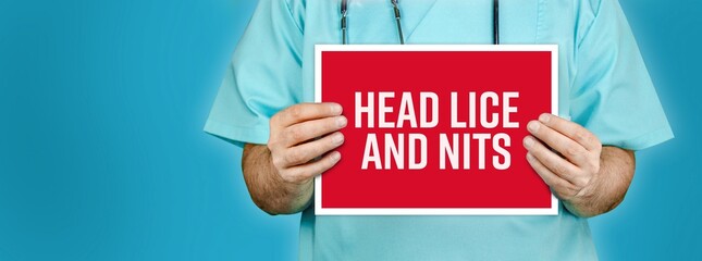 Head lice and nits. Doctor shows red sign with medical word on it. Blue background.