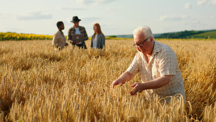 In the middle of wheat field old man farmer touching the harvest while his all family on the...