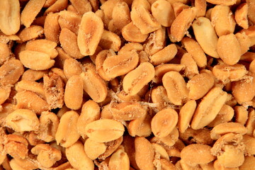 Roasted peanuts in a white bowl, white background. Peanuts with insect web