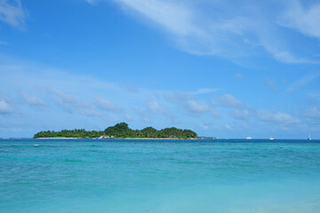 Fototapeta premium Rasdhoo is famous for its habitats of black and white tip reef sharks. It is a small island in Northern Ari Atoll with beautiful beaches.