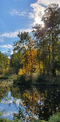 Fototapeta premium Colorful leaves on trees on a sunny autumn day in Julianowski Park in the city of Łódź, Poland.