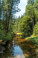 Yosemite National Park, California, USA: Merced River in Yosemite Valley