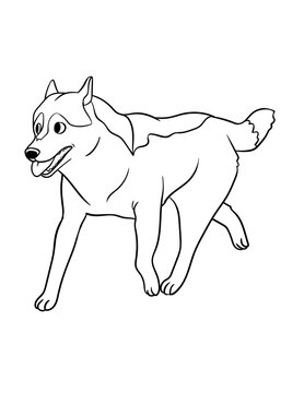 Siberian Husky Isolated Coloring Page for Kids