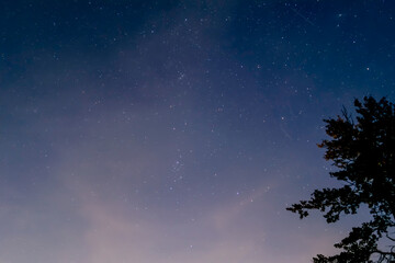 star, night, nature, tree, milkyway, himmel, abenddämmerung, see, beach, cloud, küste, dämmerung, hafen, licht, abend, fluss, nacht, wasser, abendrot, landschaft, meer, stadt, natur, anreisen, brücke,