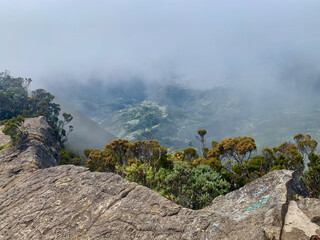 Vue depuis le sommet de la roche écrite, ile de la Réunion