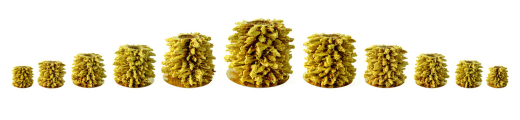 Banner sakotis or baumkuchen - traditional Lithuanian holiday cake isolated on white background