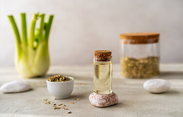 Bottle of essential fennel oil with fennel seeds and fresh bulb on grey concrete background