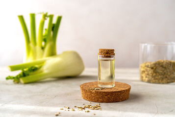 Bottle of essential fennel oil with fennel seeds and fresh bulbs on grey concrete background