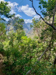 Paysage de montagnes sur l'île de la Réunion