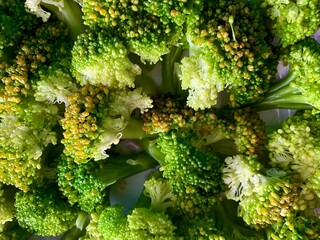 Macro shot of green broccoli close up, texture of broccoli, ugly vegetables.