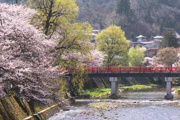 220412中橋桜G229
