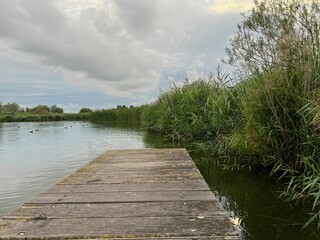 Picturesque view of river reeds and cloudy sky