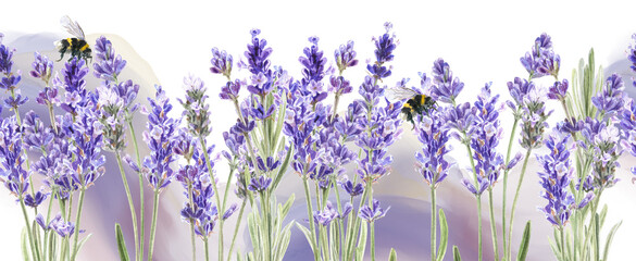 Watercolor Lavender flowers seamless border