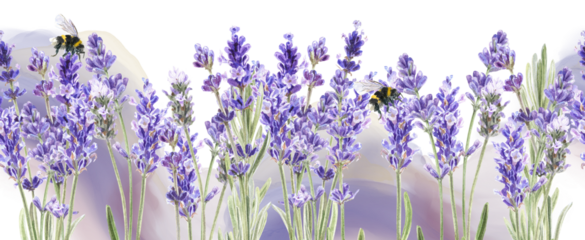 Watercolor Lavender flowers seamless border