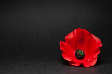 Poppy pin for Remembrance Day. Poppy flower on black background.