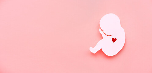 Paper silhouette of a human embryo with on a pink background. The concept of reproduction. Banner,...