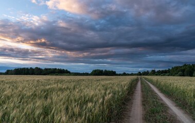 Fototapeta premium summer sunset landscape overlooking the road
