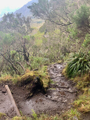 Chemin de randonnée du GRR2, ile de la Réunion